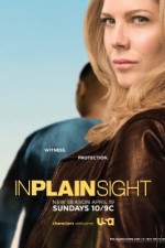 Watch In Plain Sight Gomovies